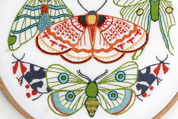 closeup of embroidery project where chain stitches are uses as high-contrast borders to define patters on moths
